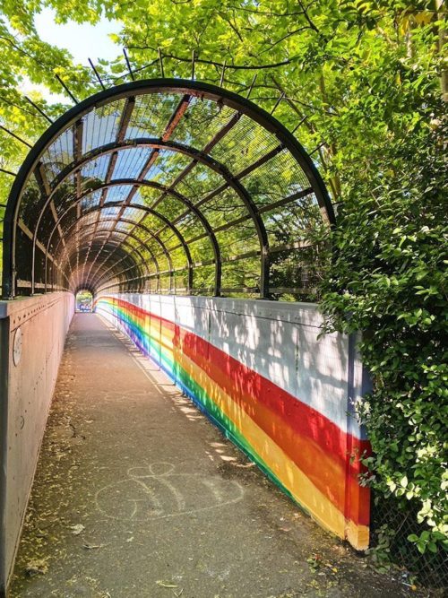 Rainbow Tunnel
